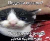 563x466