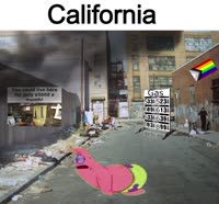 514x480