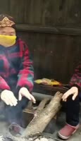 320x556