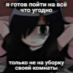 736x736