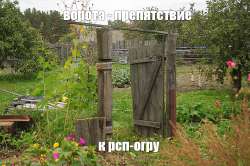 1079x719