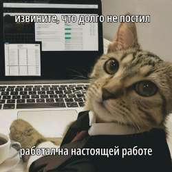 736x736