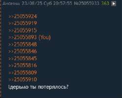 338x271
