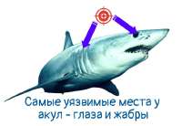 643x446