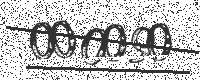 200x80