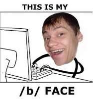 292x312