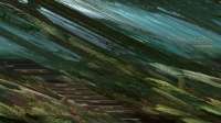 1364x768