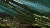 1364x768