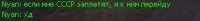 290x31