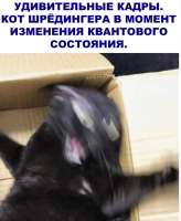 720x875