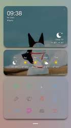 1242x2208