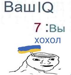 570x600