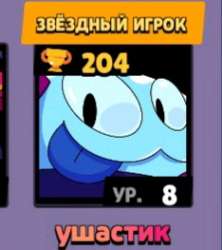 234x263