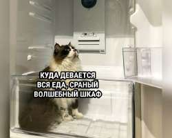 680x544