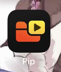 217x256