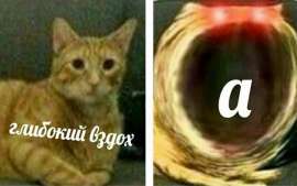 900x564