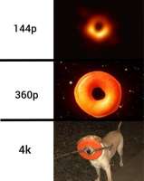 614x768