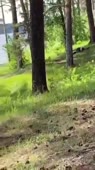 360x640
