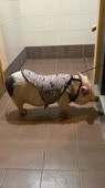 406x720