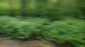 640x360
