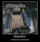 357x372