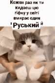 426x640