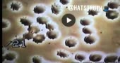 480x256