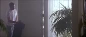 640x278