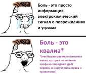 811x710