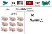 1052x689