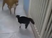 320x240