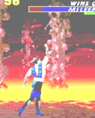 480x600