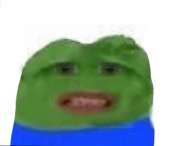 462x399
