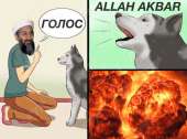960x713