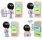 500x488