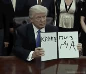 320x278