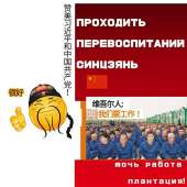 720x720