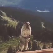 360x360