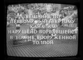1234x900