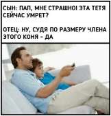 480x501