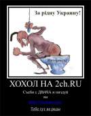 615x776