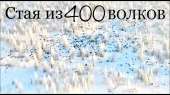 1280x720
