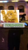 270x480
