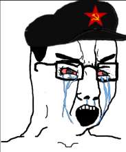 486x582