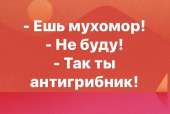 981x661