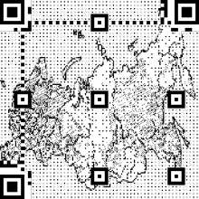 342x342