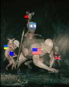 290x360