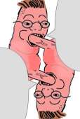 228x338