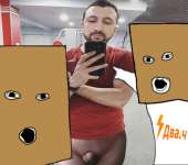 537x474