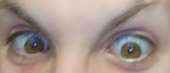 531x229